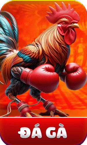 icon đá gà nhà cái ok8386