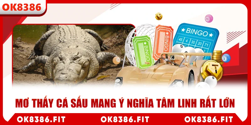 mơ thấy cá sấu